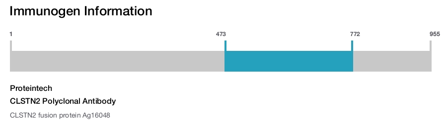 CLSTN2 Polyclonal Antibody