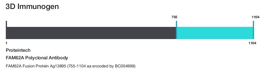 FAM62A Polyclonal Antibody
