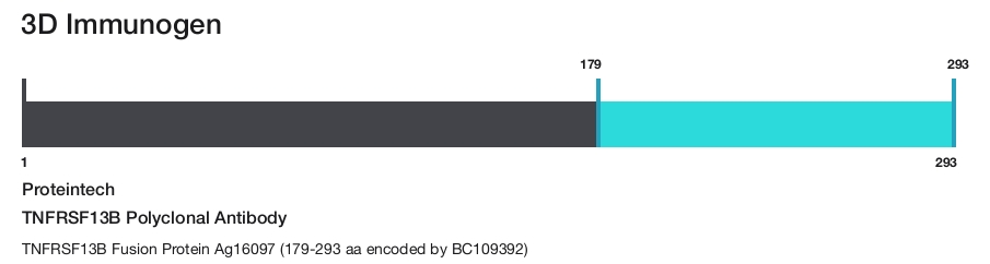 TNFRSF13B Polyclonal Antibody
