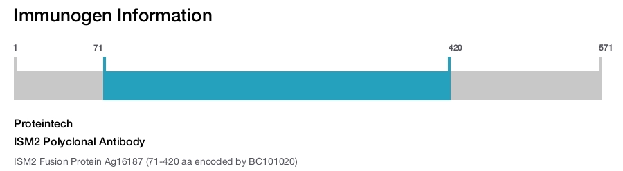 ISM2 Polyclonal Antibody
