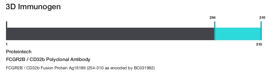 FCGR2B / CD32b Polyclonal Antibody