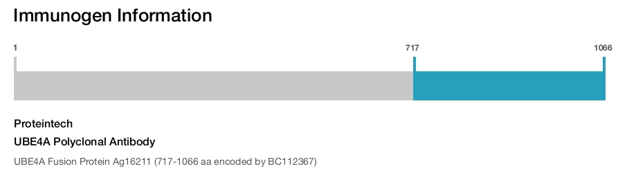 UBE4A Polyclonal Antibody