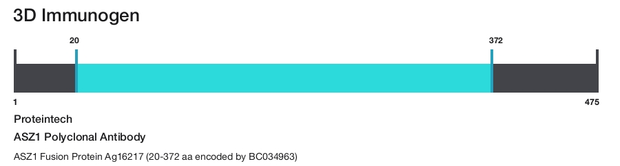 ASZ1 Polyclonal Antibody