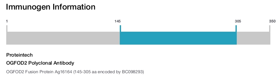 OGFOD2 Polyclonal Antibody