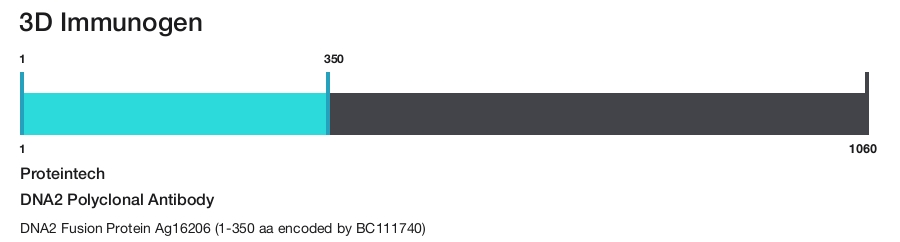 DNA2 Polyclonal Antibody