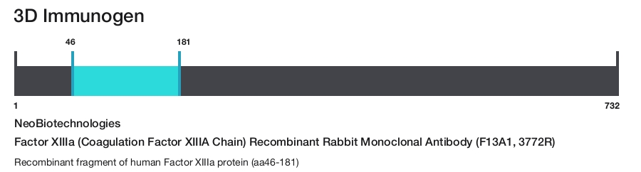 Factor XIIIa (Coagulation Factor XIIIA Chain) Recombinant Rabbit Monoclonal Antibody (F13A1, 3772R)