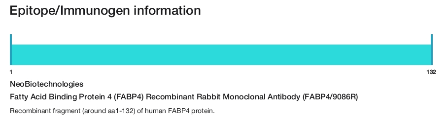 Fatty Acid Binding Protein 4 (FABP4) Recombinant Rabbit Monoclonal Antibody (FABP4/9086R)
