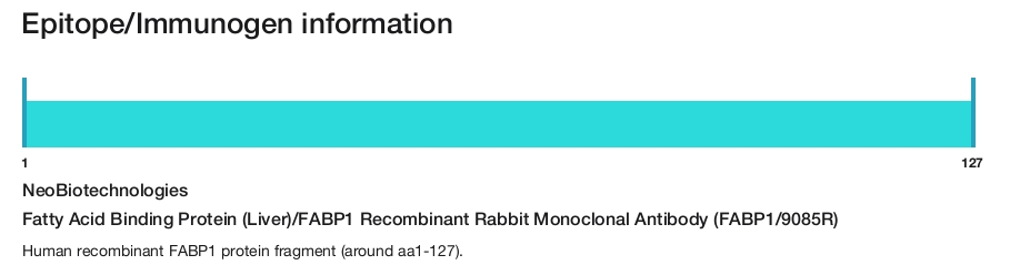 Fatty Acid Binding Protein (Liver)/FABP1 Recombinant Rabbit Monoclonal Antibody (FABP1/9085R)