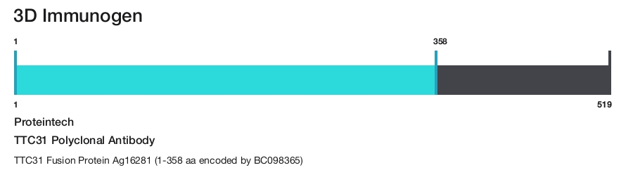 TTC31 Polyclonal Antibody