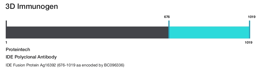 IDE Polyclonal Antibody
