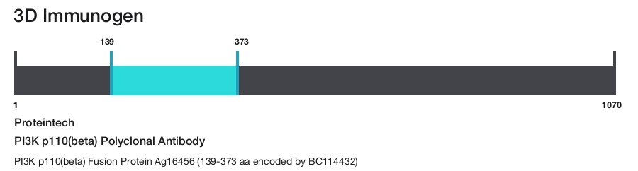 PI3K p110(beta) Polyclonal Antibody