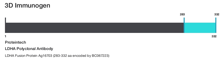 LDHA Polyclonal Antibody