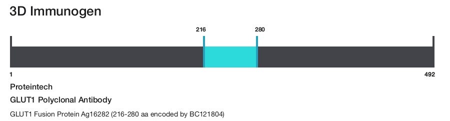 GLUT1 Polyclonal Antibody