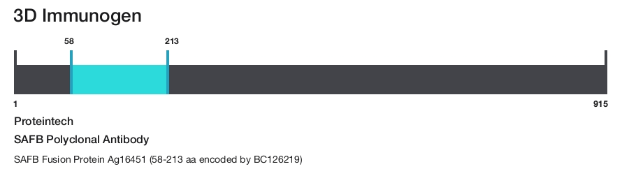 SAFB Polyclonal Antibody
