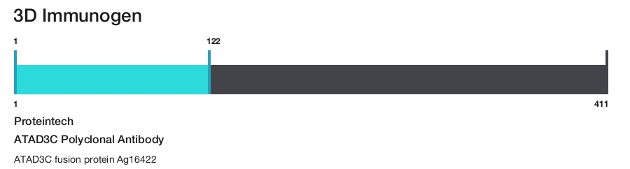 ATAD3C Polyclonal Antibody