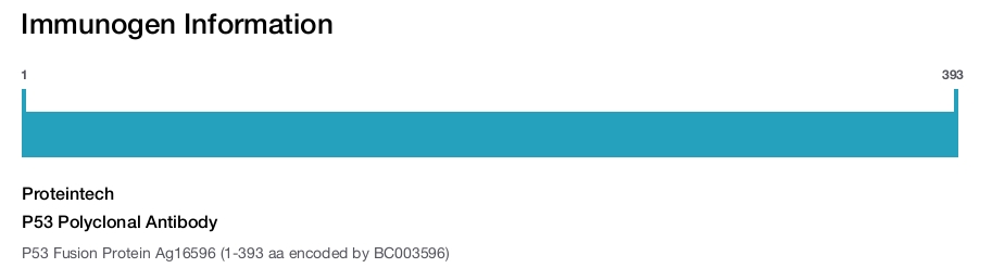 P53 Polyclonal Antibody