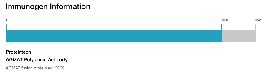 AGMAT Polyclonal Antibody