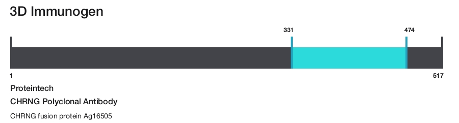 CHRNG Polyclonal Antibody