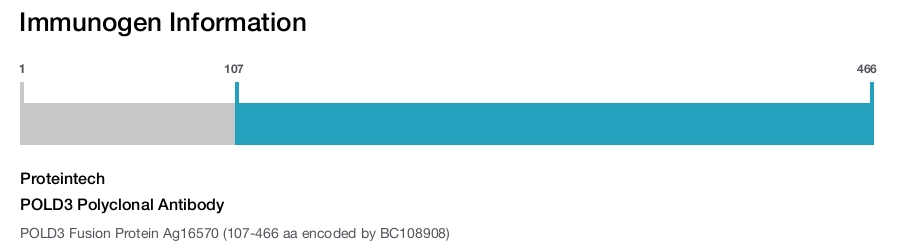 POLD3 Polyclonal Antibody
