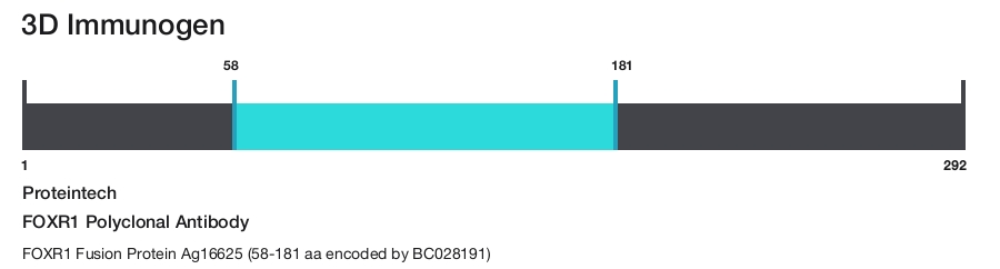 FOXR1 Polyclonal Antibody