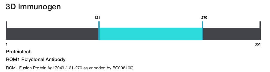 ROM1 Polyclonal Antibody