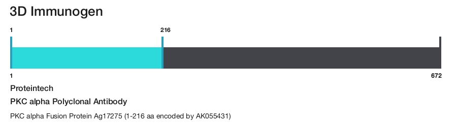 PKC alpha Polyclonal Antibody