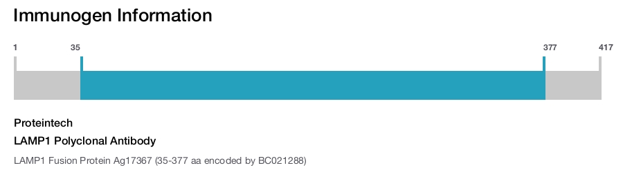 LAMP1 Polyclonal Antibody