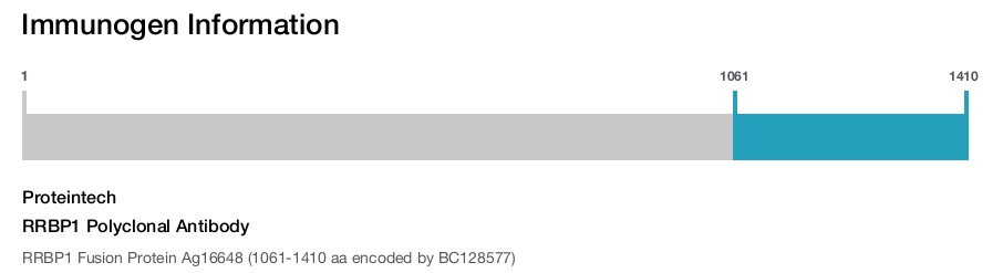 RRBP1 Polyclonal Antibody