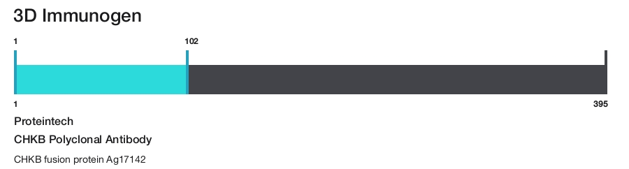 CHKB Polyclonal Antibody