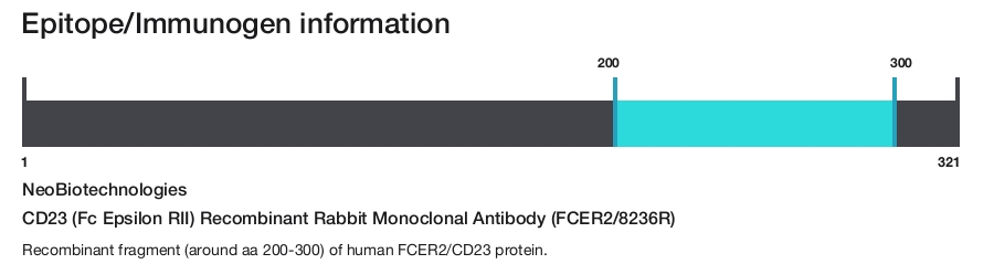 CD23 (Fc Epsilon RII) Recombinant Rabbit Monoclonal Antibody (FCER2/8236R)