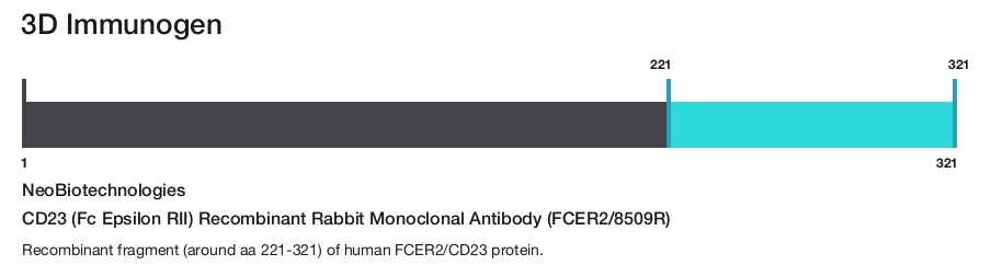 CD23 (Fc Epsilon RII) Recombinant Rabbit Monoclonal Antibody (FCER2/8509R)