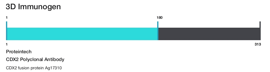 CDX2 Polyclonal Antibody