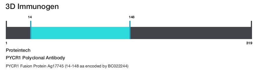 PYCR1 Polyclonal Antibody