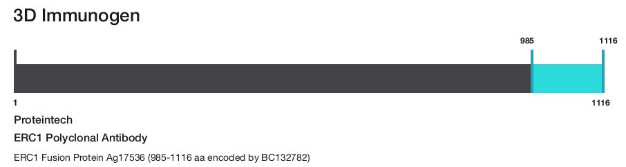 ERC1 Polyclonal Antibody