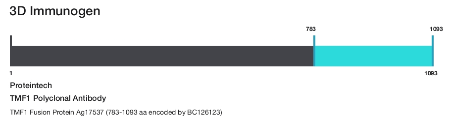 TMF1 Polyclonal Antibody