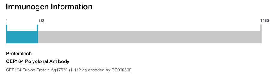 CEP164 Polyclonal Antibody