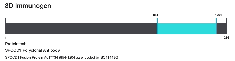SPOCD1 Polyclonal Antibody