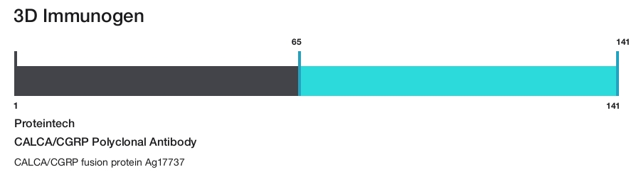 CALCA/CGRP Polyclonal Antibody