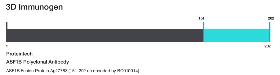 ASF1B Polyclonal Antibody