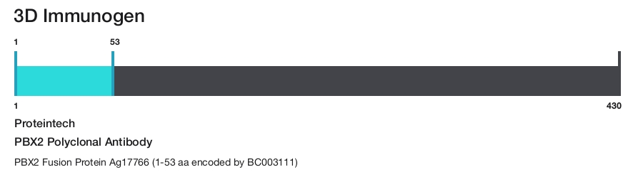 PBX2 Polyclonal Antibody