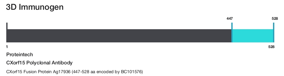 CXorf15 Polyclonal Antibody