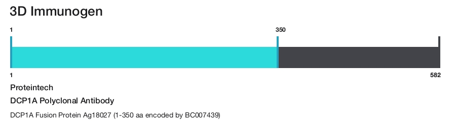 DCP1A Polyclonal Antibody