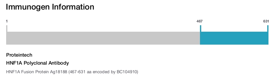 HNF1A Polyclonal Antibody