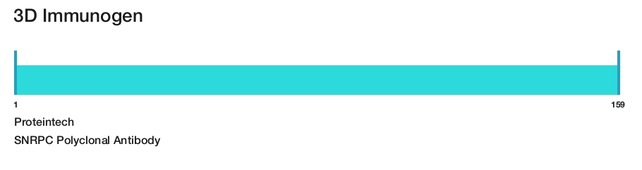 SNRPC Polyclonal Antibody