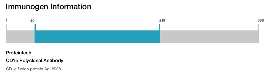CD1e Polyclonal Antibody