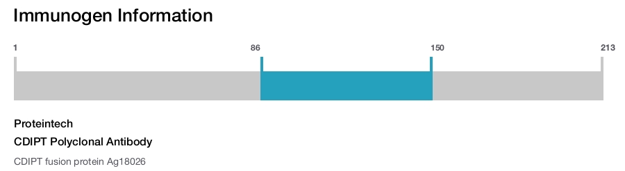 CDIPT Polyclonal Antibody