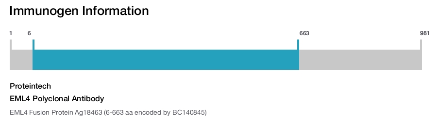 EML4 Polyclonal Antibody