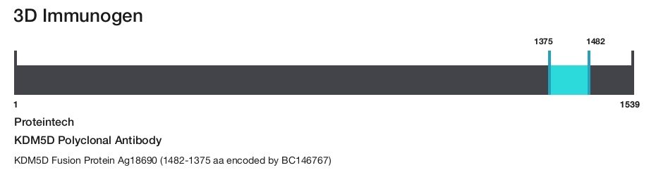 KDM5D Polyclonal Antibody