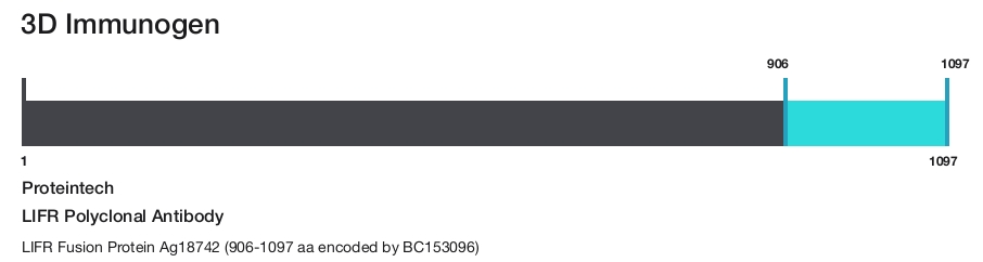 LIFR Polyclonal Antibody
