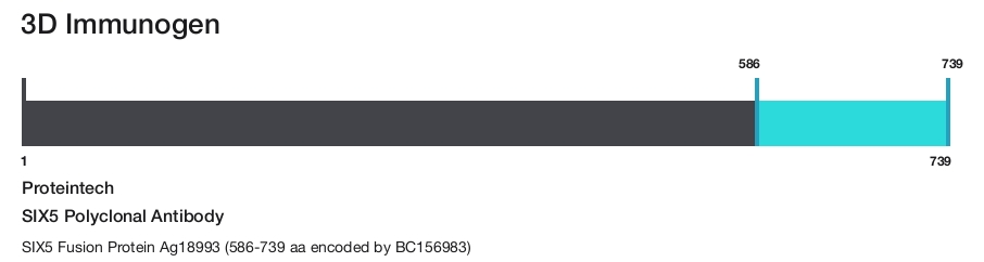 SIX5 Polyclonal Antibody